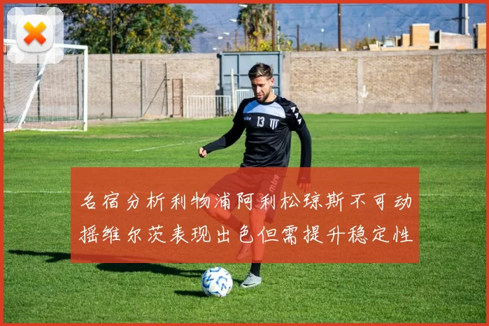 名宿分析利物浦阿利松琼斯不可动摇维尔茨表现出色但需提升稳定性